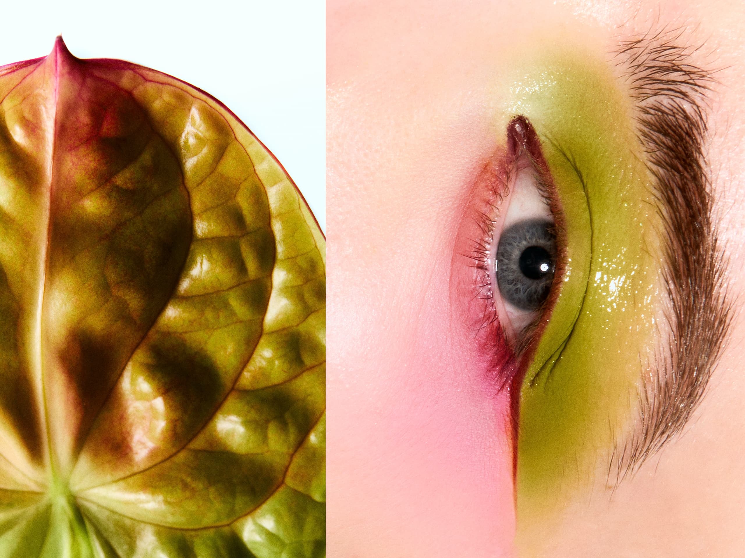 Leaf and eye with green and pink makeup, nature-inspired beauty theme.