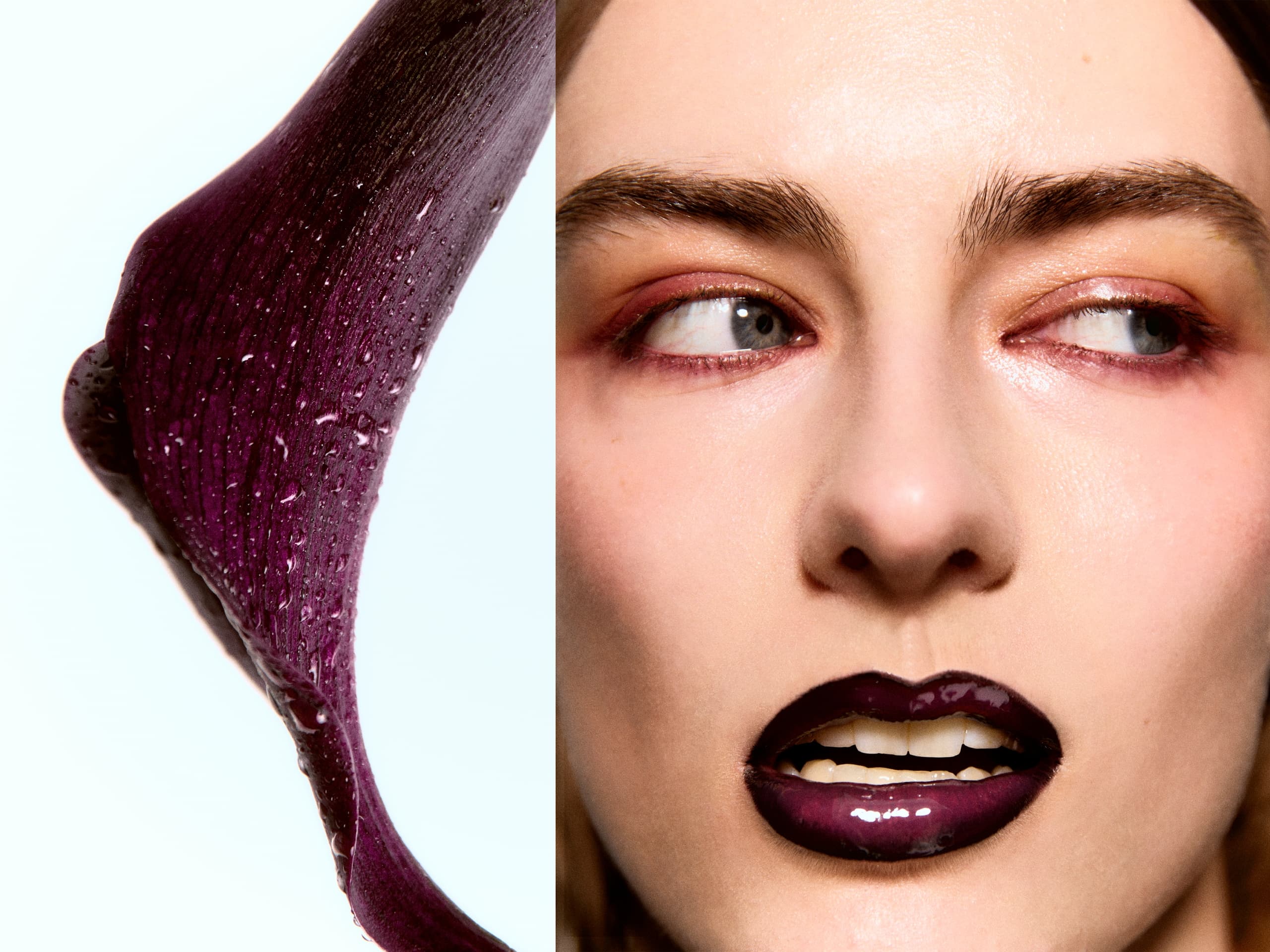 Close-up of woman with dark glossy lips and a purple petal.