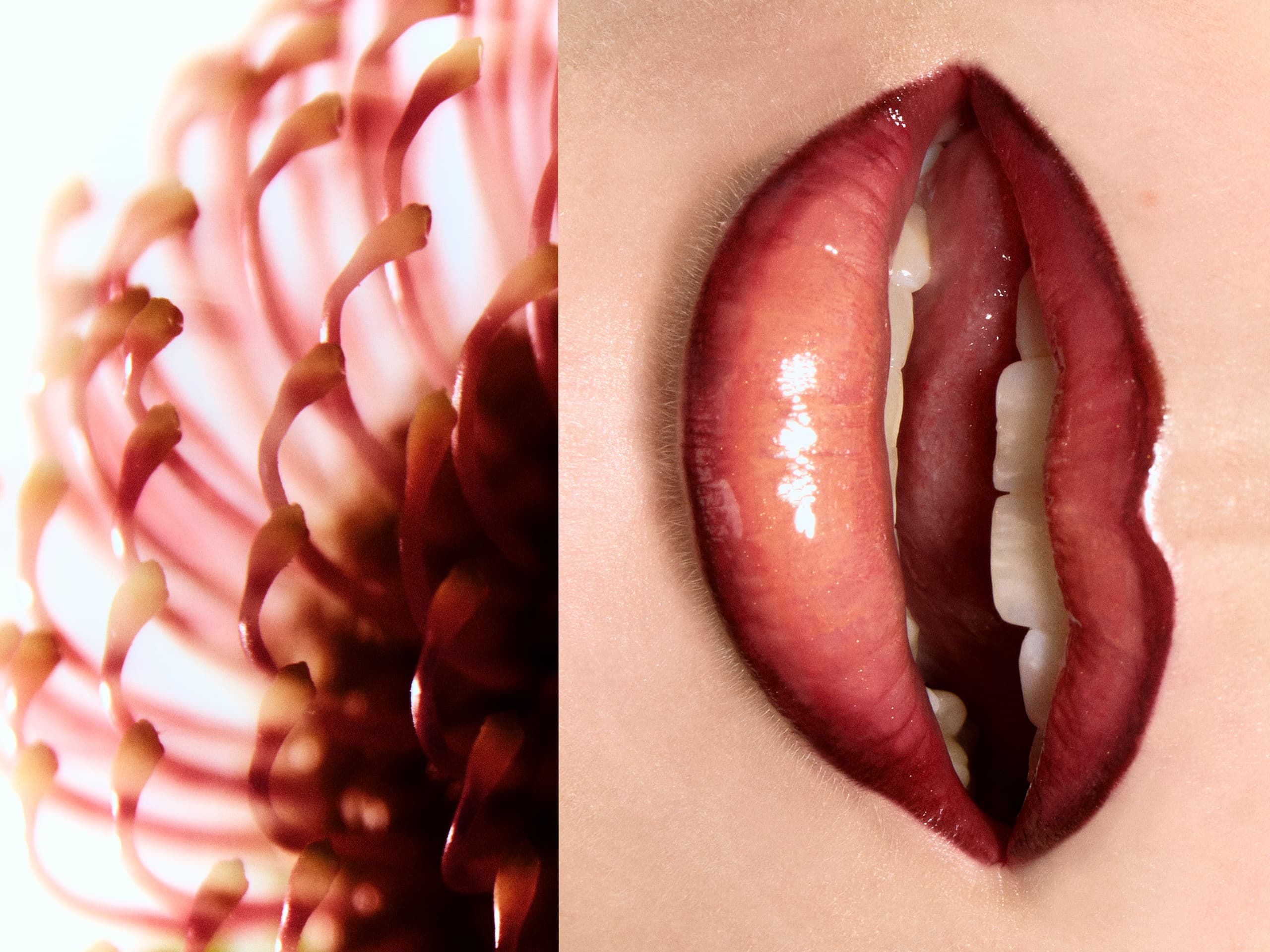 Close-up of red lips beside a spiky red flower, blending nature and beauty.