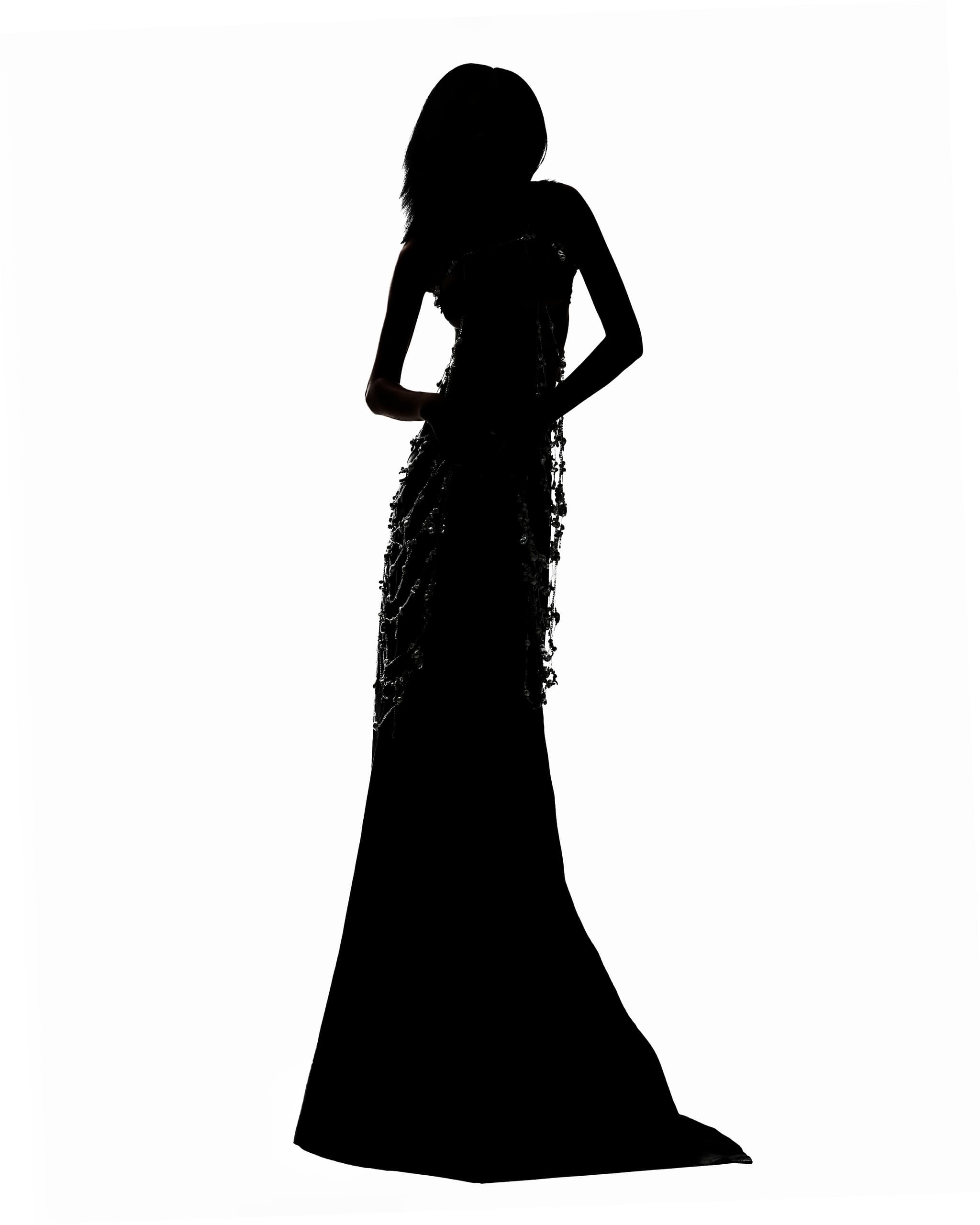 Silhouette of a woman in an elegant gown, striking a stylish pose.