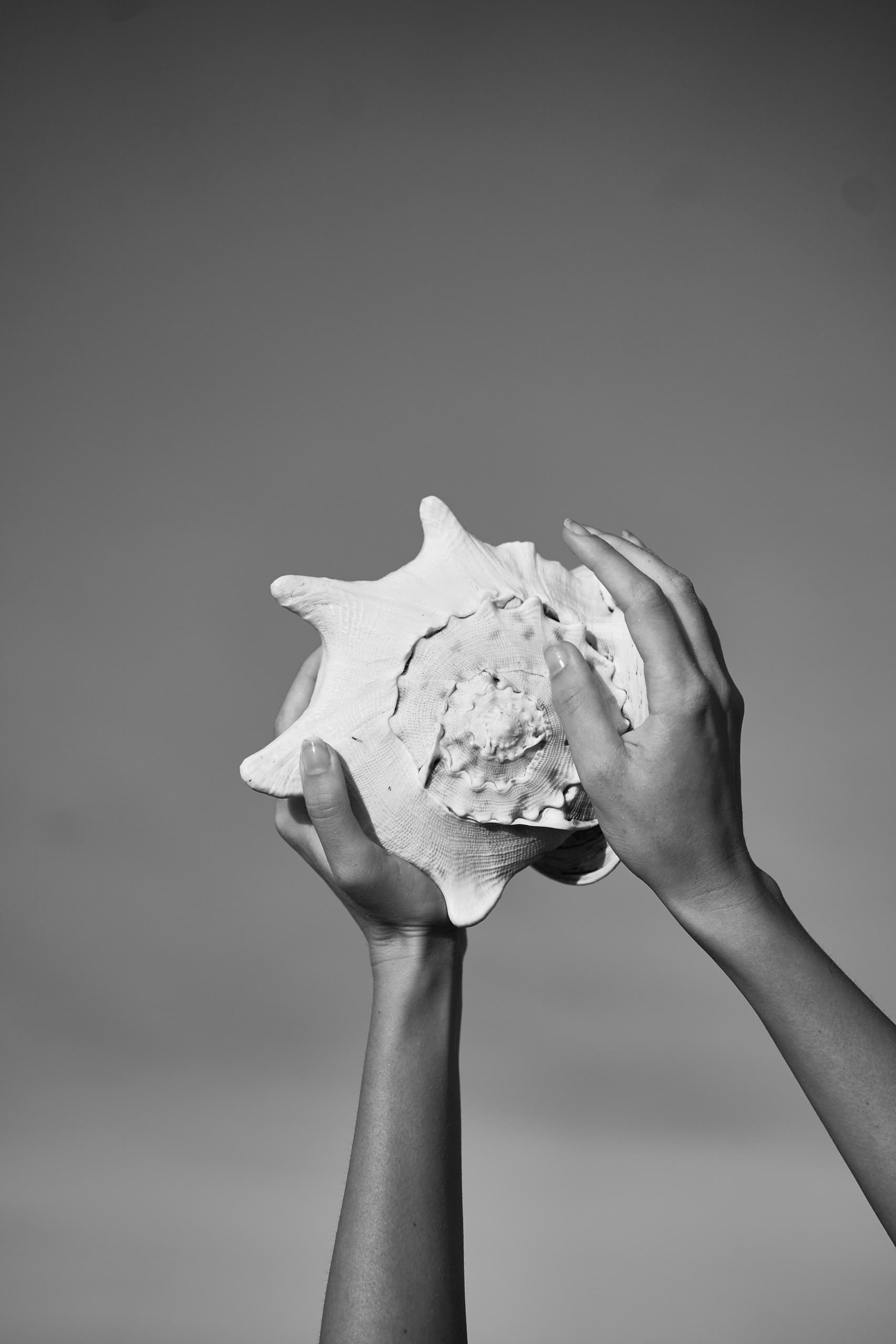Hands holding a seashell against a clear sky background.