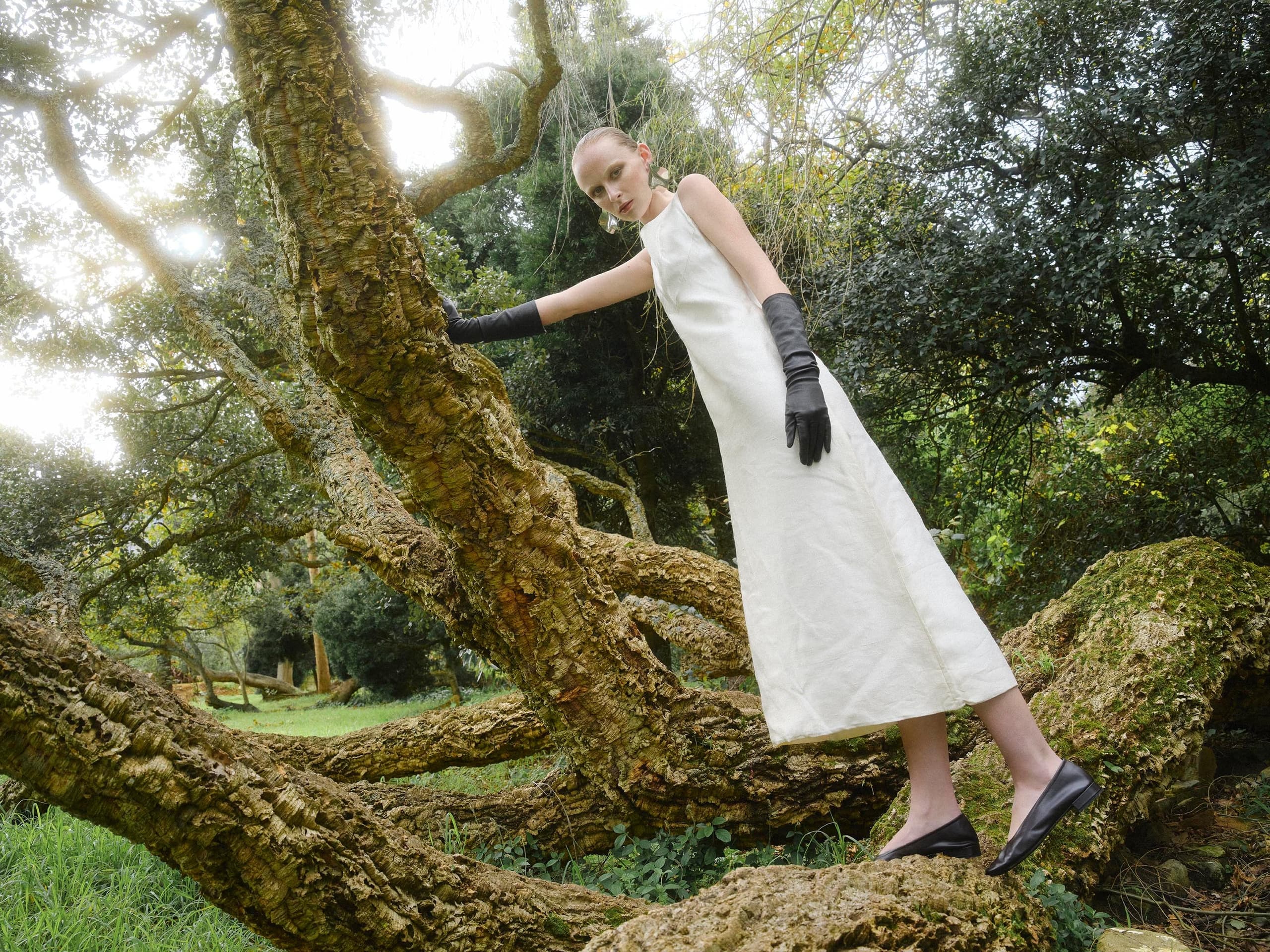 Elegant woman in a white dress posing on a twisted tree in a lush forest setting.