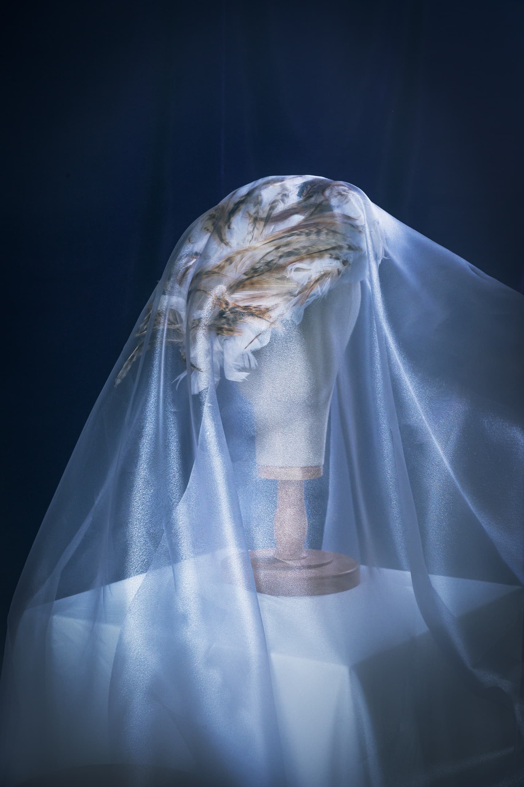 Feathered hat on stand covered by sheer fabric in a dark, mysterious setting.