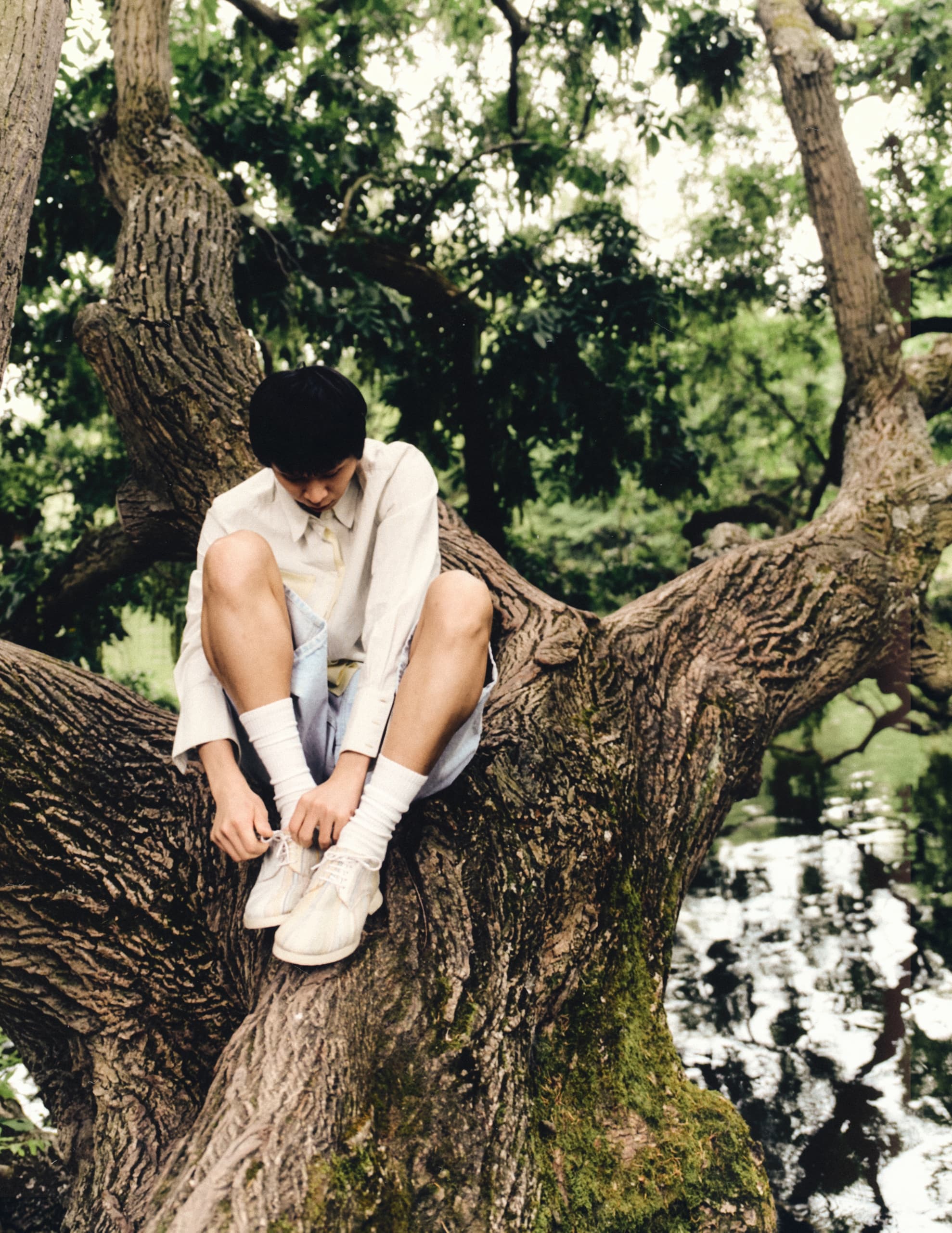 Person sitting on a large tree branch in a lush, green forest setting.