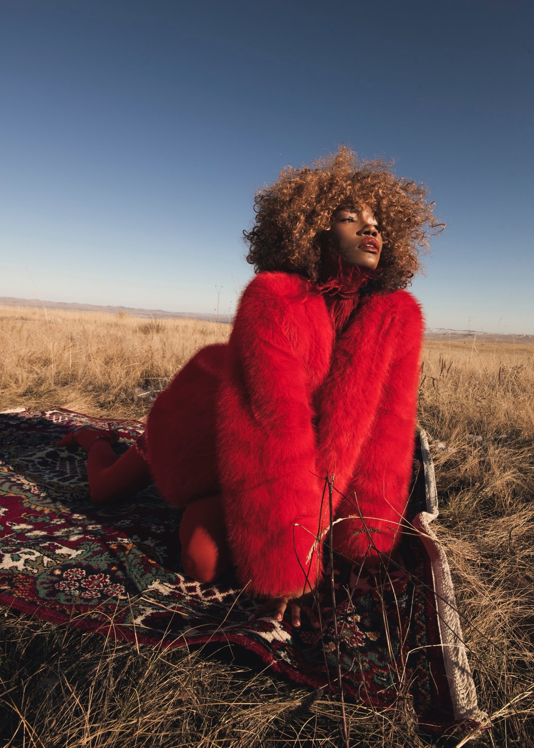 Fashion model in red fur coat on a patterned rug in a grassy field under blue sky.