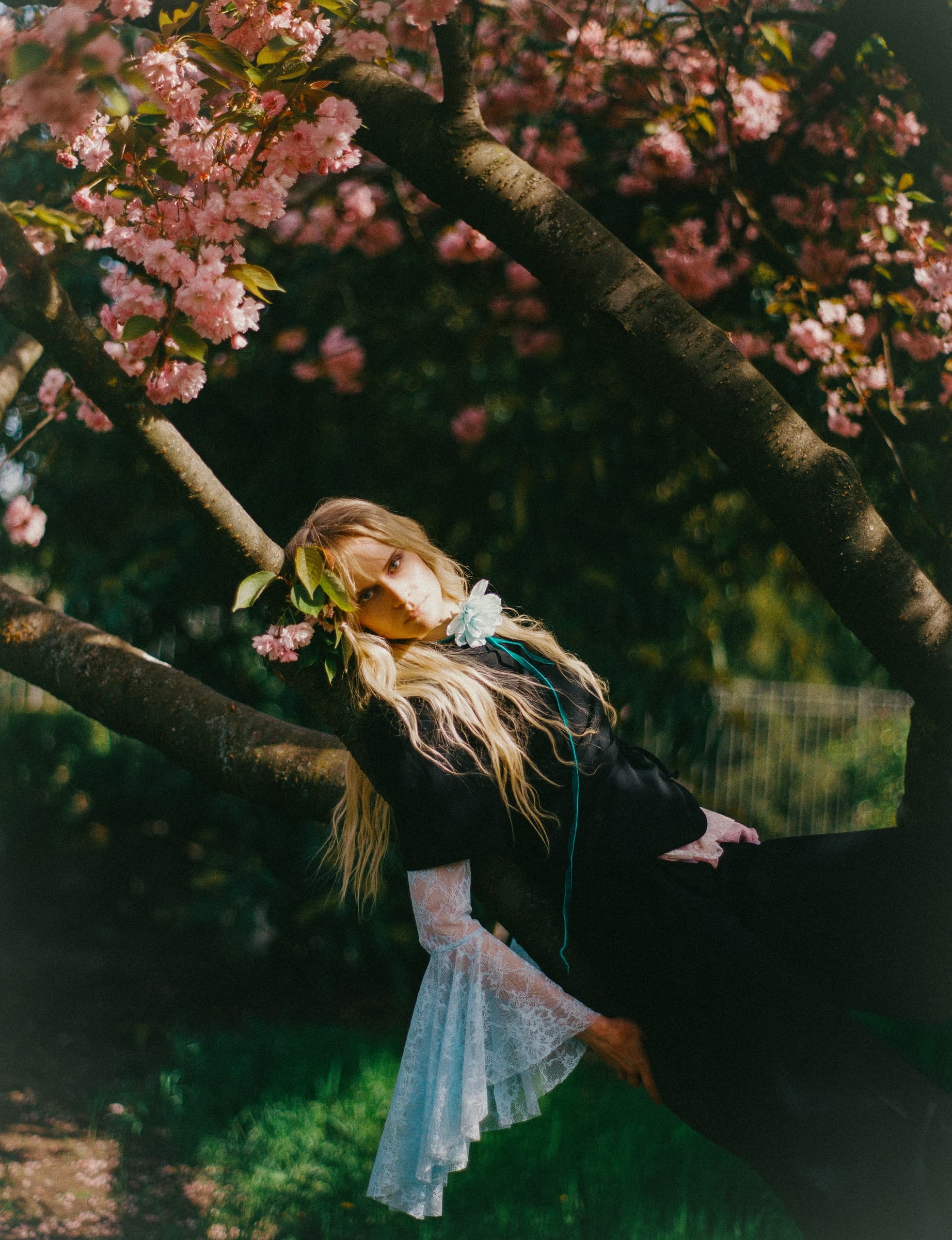 Woman in elegant dress reclining on tree branch with pink blossoms.