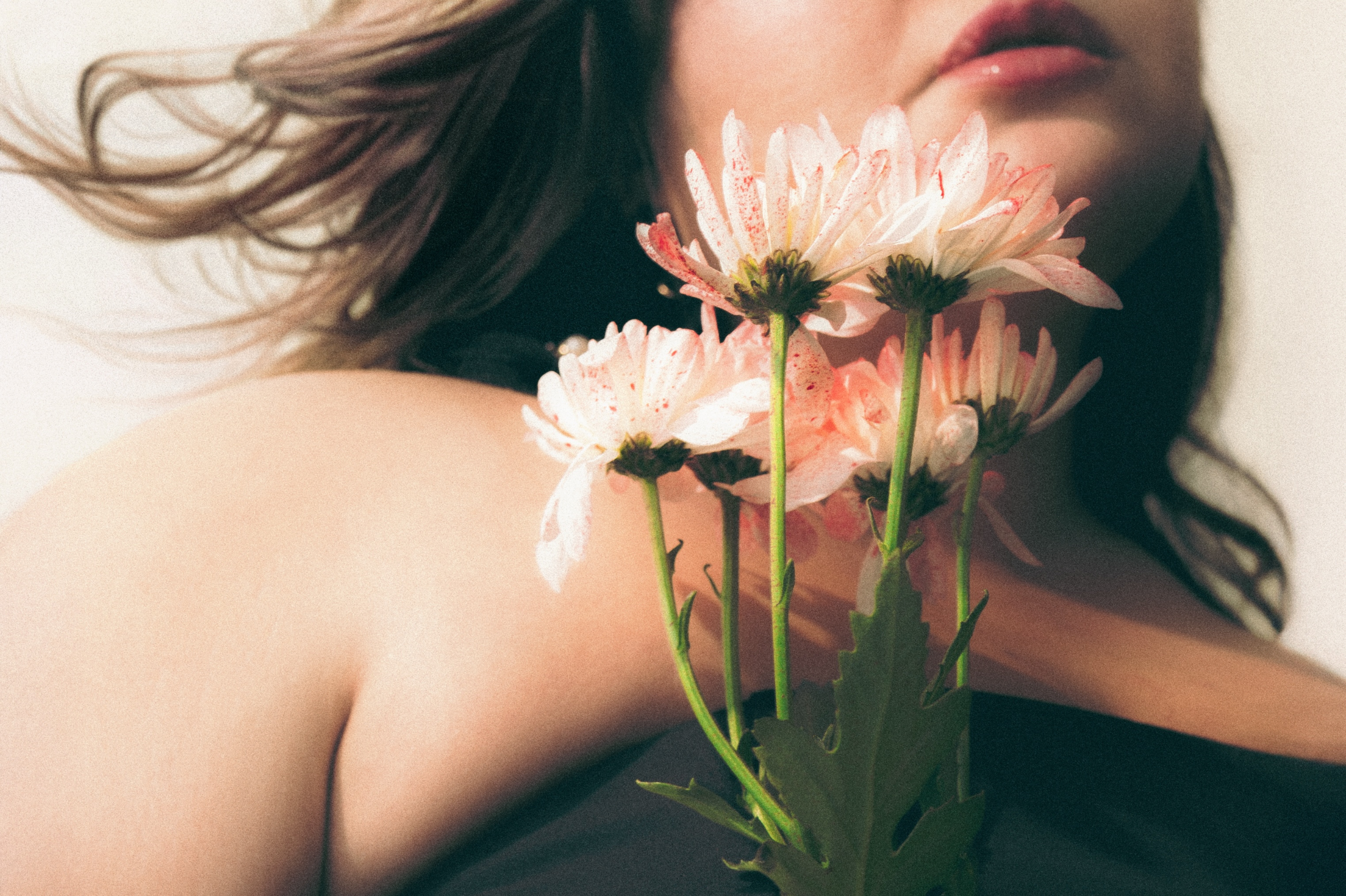 Close-up of pink flowers with woman in background, highlighting beauty and nature.