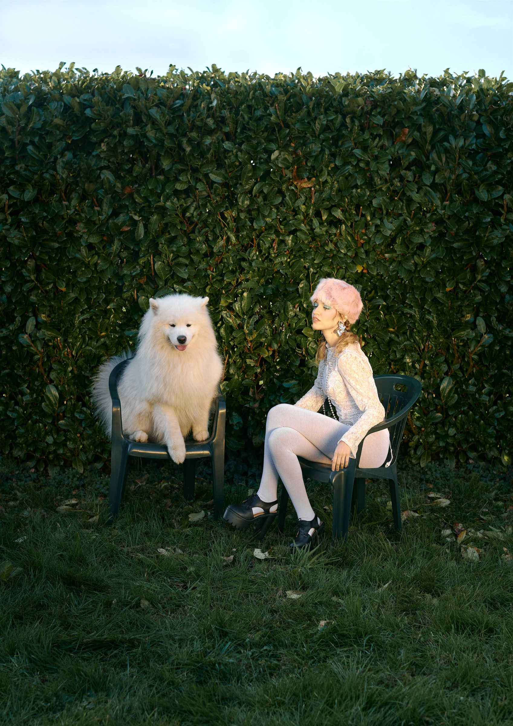 Person and fluffy white dog sitting on chairs in a garden by a green hedge.