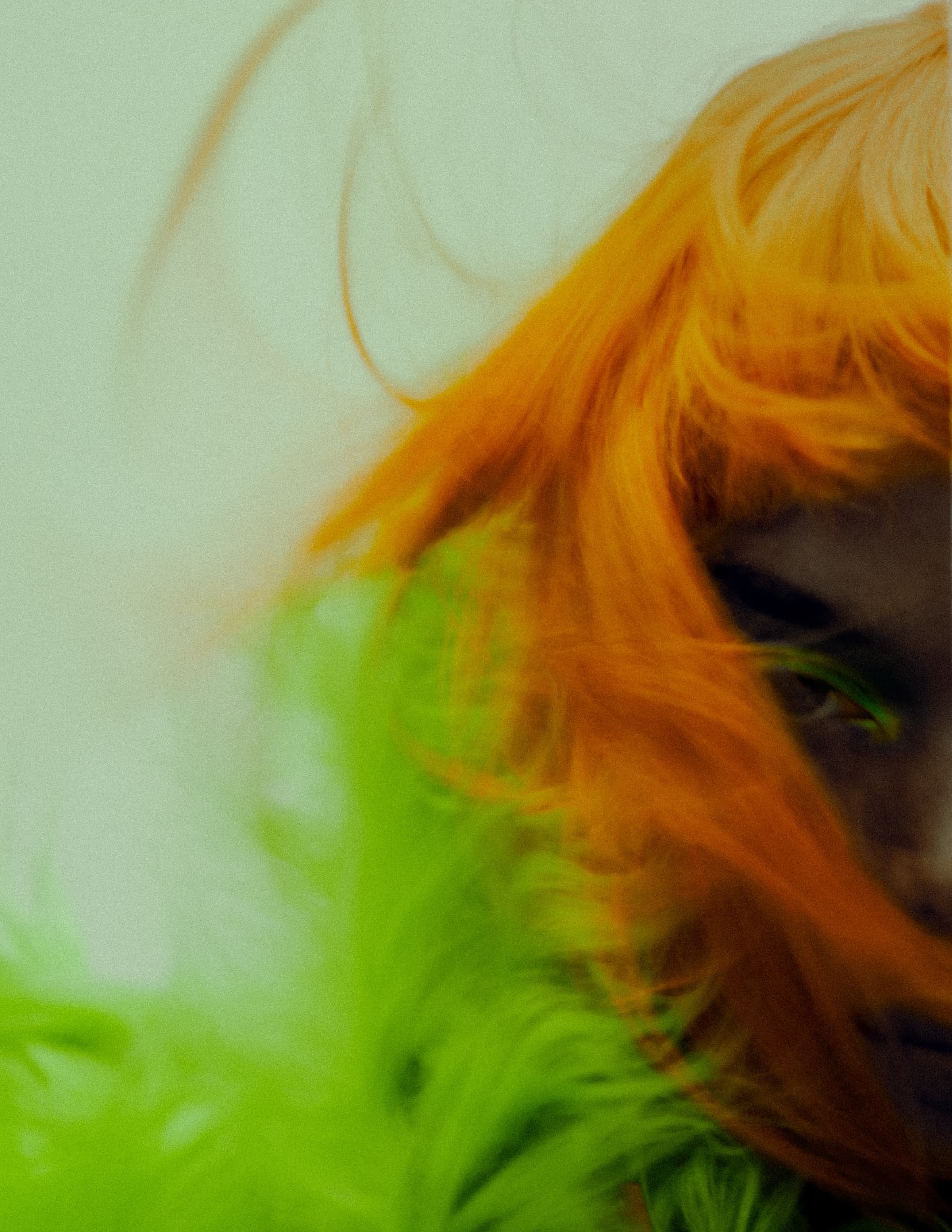 Vibrant orange hair and green texture creating a bold and artistic appearance.