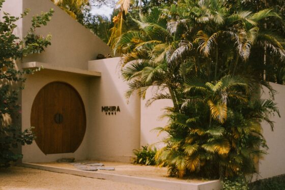 Modern house entrance surrounded by lush greenery and a circular wooden door.