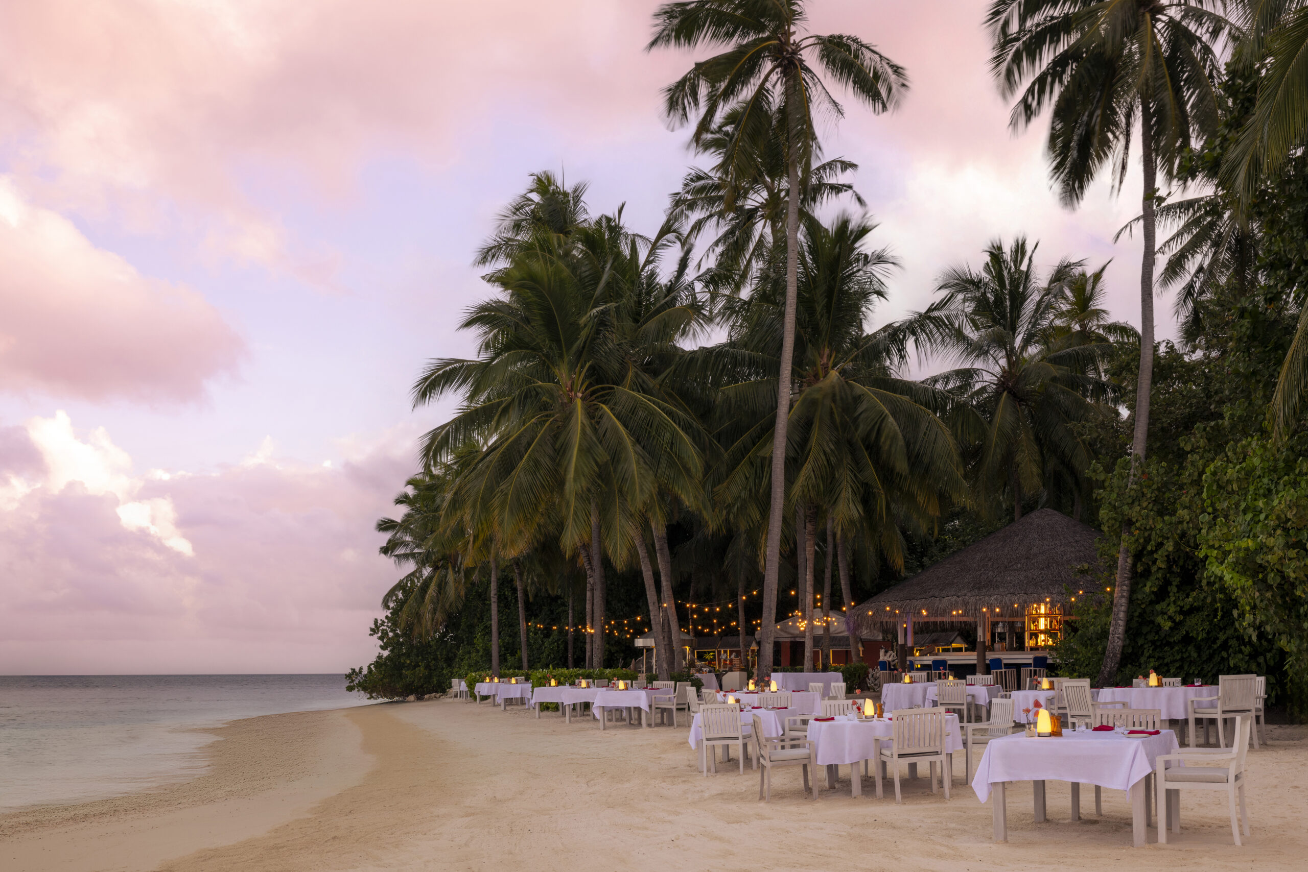 Tropical beach dining setup with palm trees and pink sunset sky.