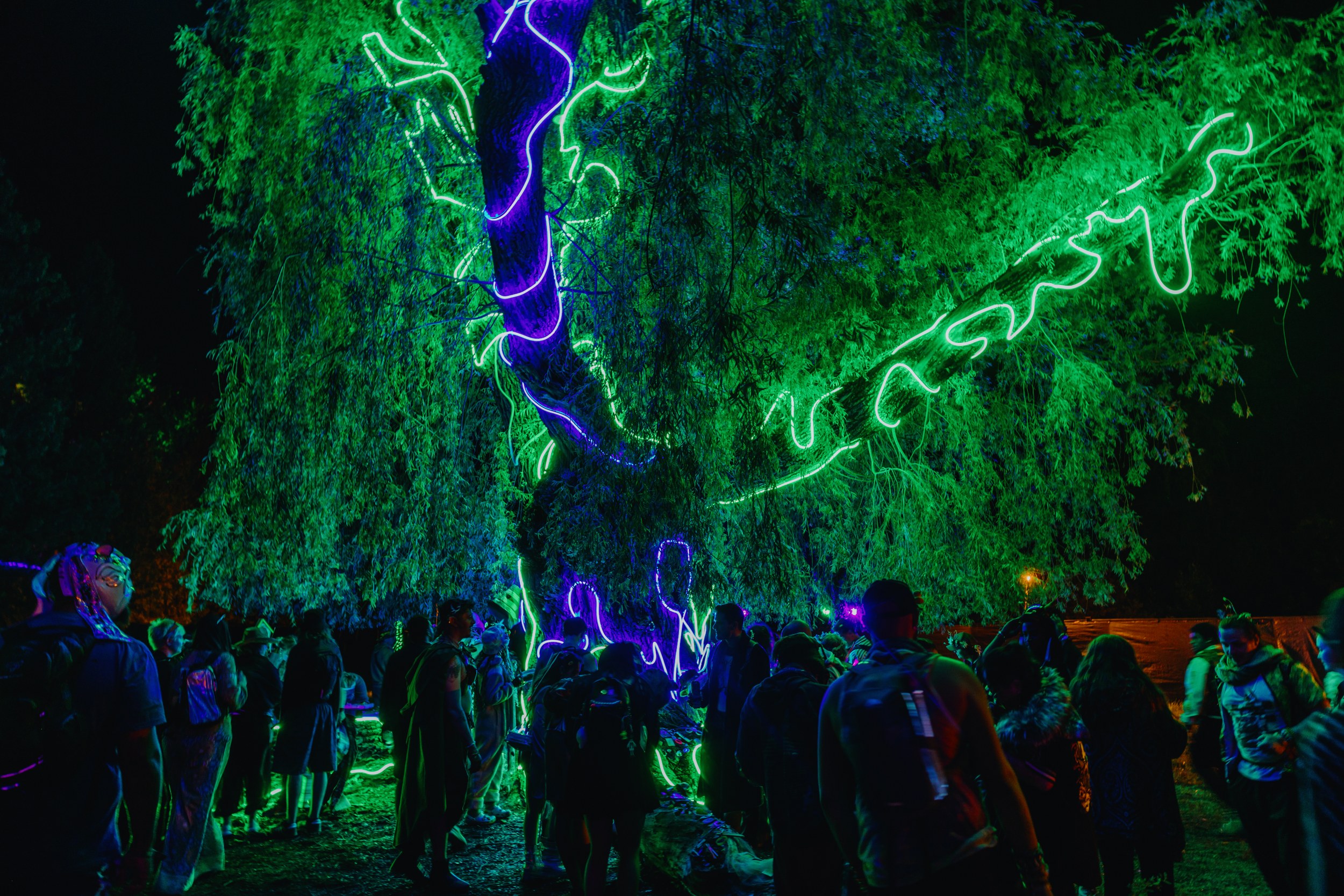 Crowd gathers under a neon-lit tree at night festival.