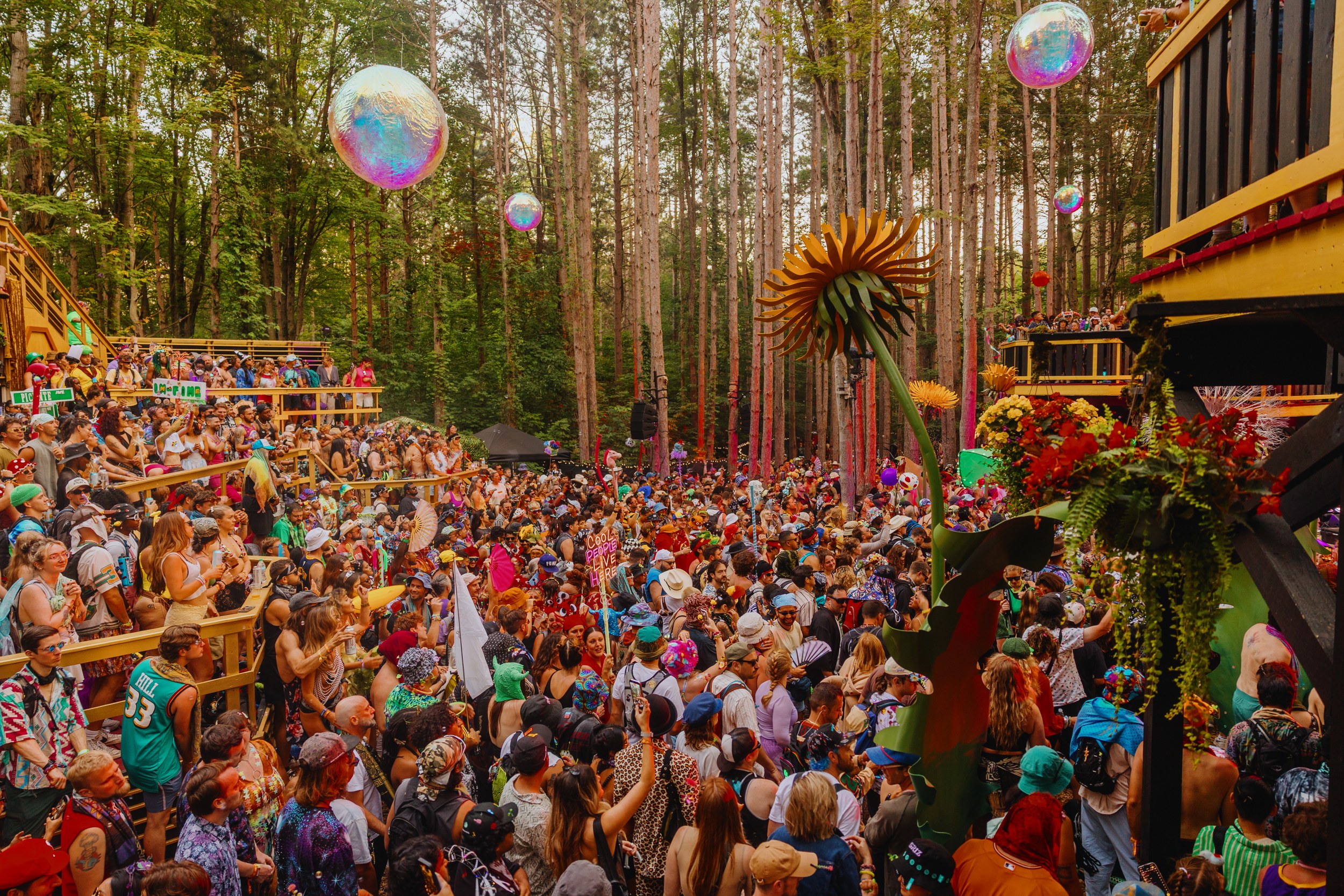 Vibrant festival crowd enjoying music in a colorful forest venue.