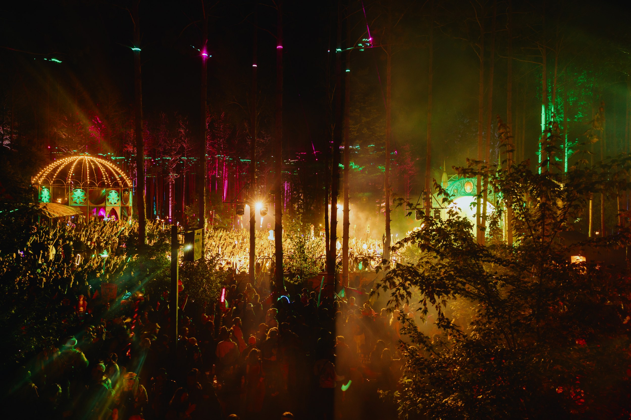 Vibrant night festival in forest with colorful lights and lively crowd.