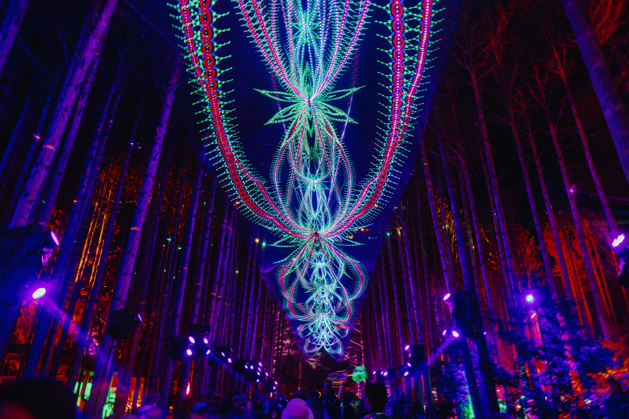 Vibrant festival lights illuminate a forest pathway at night.