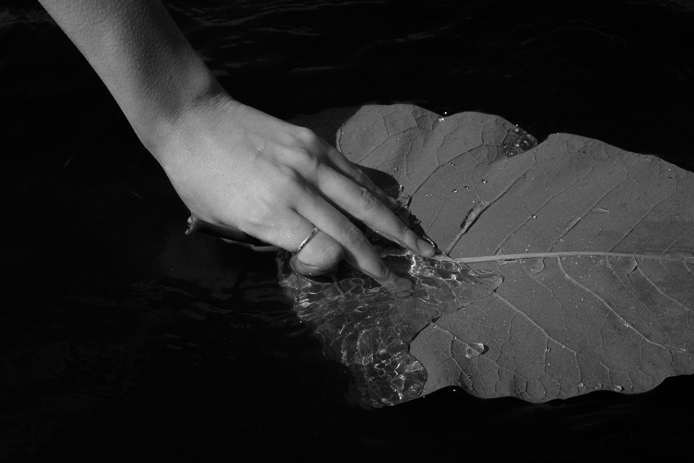 Hand touching water on a leaf in black and white, serene nature scene.